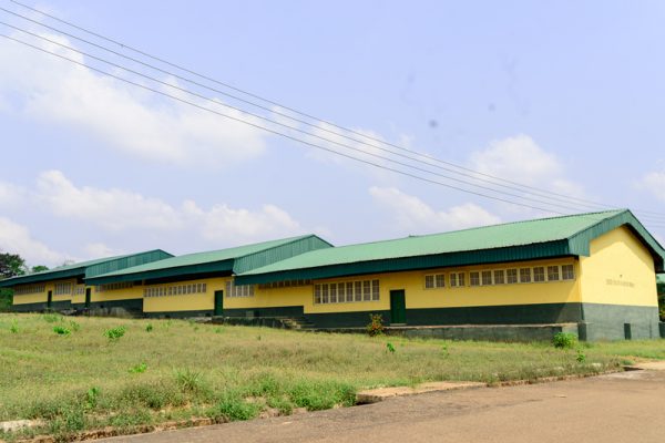 DSC_9180
